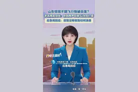 应急局回应“山东现不明飞行物被击落”图片