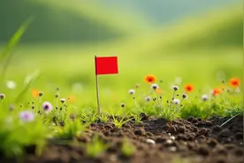 土地市场升温背后：核心城市加大优质地块供应，多地房价“回稳”图片