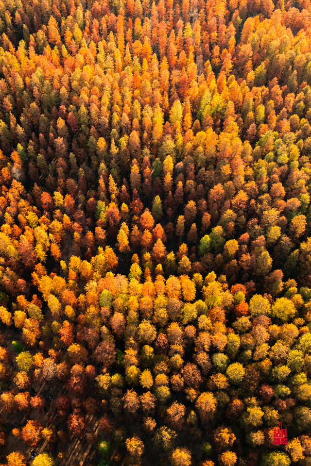 寒潮倒计时！再不来就迟了