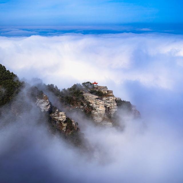 一花一瀑一云烟，庐山春意正当时