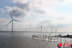 盐为骨 海为魂 滨州绘就盐田虾产业新图景图片