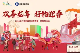 最高立减2000元！2024年三亚市政府离岛免税消费券来咯图片