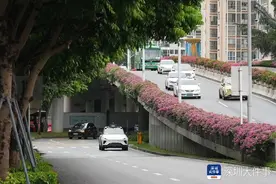 记者体验深圳萝卜快跑：下单等待两小时被取消，车费0元图片