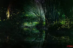 又是一年观萤季，四川眉山青神县招募百名网络达人免费游县内景区景点图片