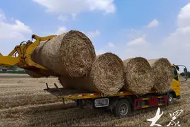 秸秆回收再利用，让“包袱”变“财富”图片