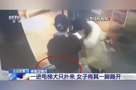 狗咬人，人又踢了狗！狗主人赔了805元后反向索赔6万元图片