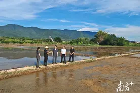 “法庭+综治中心+多方协同”，蕉岭县探索乡村纠纷化解新路径图片
