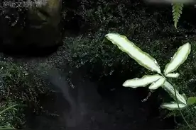 一个“水”字居然有这么多叫法图片