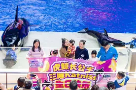 新春上新科普课，珠海长隆飞船乐园为虎鲸“三隆”过生日图片