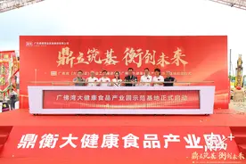 进击广佛湾，打造价值高地，还看大沥图片