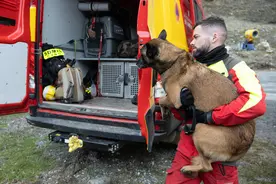 （外代一线）搜救犬救援演练图片