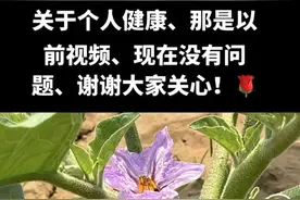 自曝患胃癌？胖东来董事长于东来本人回应：那是以前视频，现在没问题图片