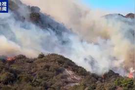 美前奥运选手回应“救狗不救奖牌”：奖牌太远，没时间拿了图片