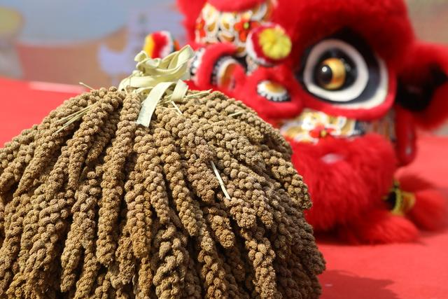 观南山美景、品特色美食，首届“源味南山·泉水小米”文化旅游节开幕