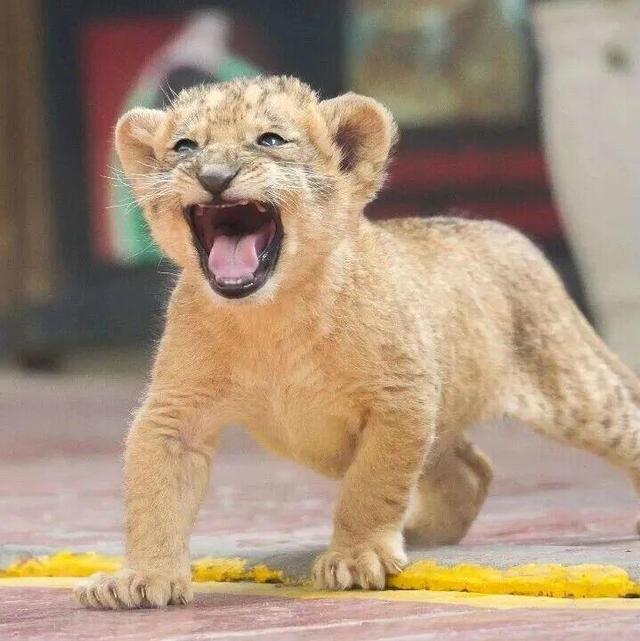 荣成清明出游全攻略，美景优惠两不误