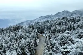 雪花纷飞 玉树银花美不胜收图片