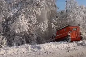 受暴风雪影响 俄诺夫哥罗德州两地电力供应中断图片