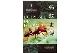 蚂蚁只会结队“偷食”？其实，它们也是农场主和昆虫牧人图片