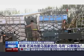 美乌“稀土换援助”再博弈：泽连斯基的艰难抉择图片