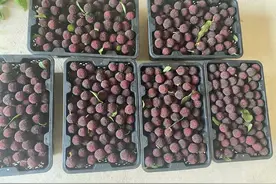 心心念念的杨梅，终于要上市了！图片