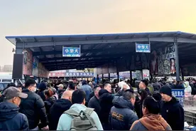 超百万只猫狗，从“钢城”卖到全国图片