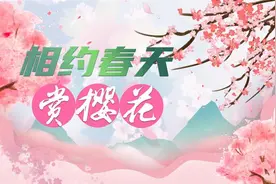 最全攻略来啦！2025武汉东湖樱花季启动图片