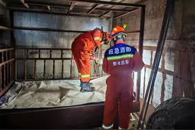 “蛇中巨龙”？15斤眼镜王蛇惊现床底 “打坐”图片