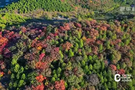 瞰中国｜北京顺义：舞彩之秋图片