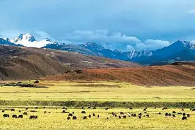 四川理塘：让更多游客走进“天空之城”图片
