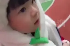 10只四川小熊猫勇闯哈尔滨，毛绒绒的太可爱啦！哈尔滨：熊猫雪雕已就位图片