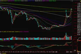 市值退市新规落地  超跌低价股“牛气冲天”图片