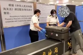 男子入境行李中藏有14只乌龟，1只为国家二级保护动物，其余全是外来物种图片