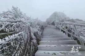 一夜入“冬”！广东下雪了！深圳开启“速冻”模式，最低气温将达个位数图片