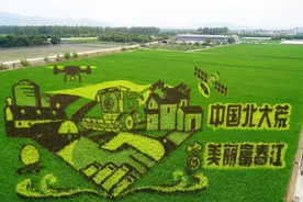 中国的北大荒｜社会化服务，示范带动中国农业现代化图片