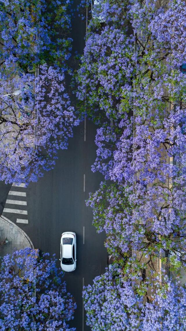 宝藏公交，移动的风景画廊