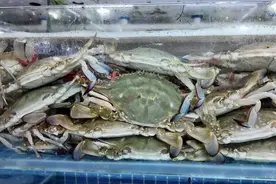 价格大跳水！很多江苏人爱吃图片