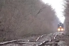 美国首条"高铁"为何成全美最暴力铁路？我沿轨道考察，发现原因图片