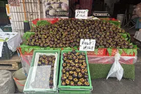 20—30元/公斤！山竹在昆大量上市图片