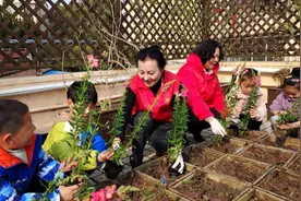 人人都是管理者！人民建议助推荒废露台变“屋顶花园”图片