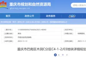 重庆市巴南区木洞C分区C4-1-2/03地块详细规划修改方案公示图片