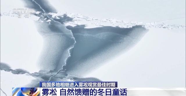 从冬日童话到四季可赏 科技让雾凇美景不再“可遇不可求”