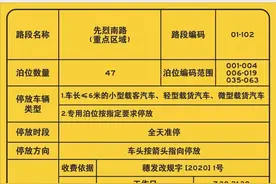 《道路停车泊位全攻略》系列报道②图片