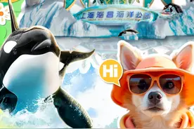 3月携宠一起撒欢！上海海昌海洋公园和九棵树未来艺术中心发来邀请函图片