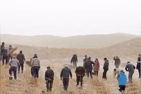 巩固塔克拉玛干沙漠生态治理成果 110.5万亩沙化土地治理工作启动图片