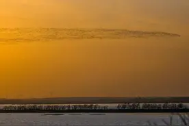 候鸟北归，万鸟翔集卧龙湖！图片