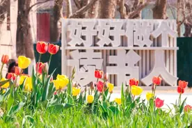 中国传媒大学2025年研考初试成绩查询正式开通图片