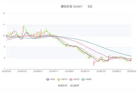 通化东宝：2024年上半年亏损2.30亿元图片