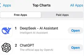 登顶！突然爆火！Deepseek究竟是啥？图片