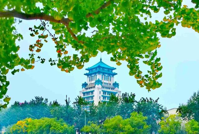 京城拍客今日精选｜缤纷秋色染层林 京城赏秋正当时