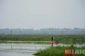 湖北头茬小龙虾集中上市，每斤价格跌破10元图片